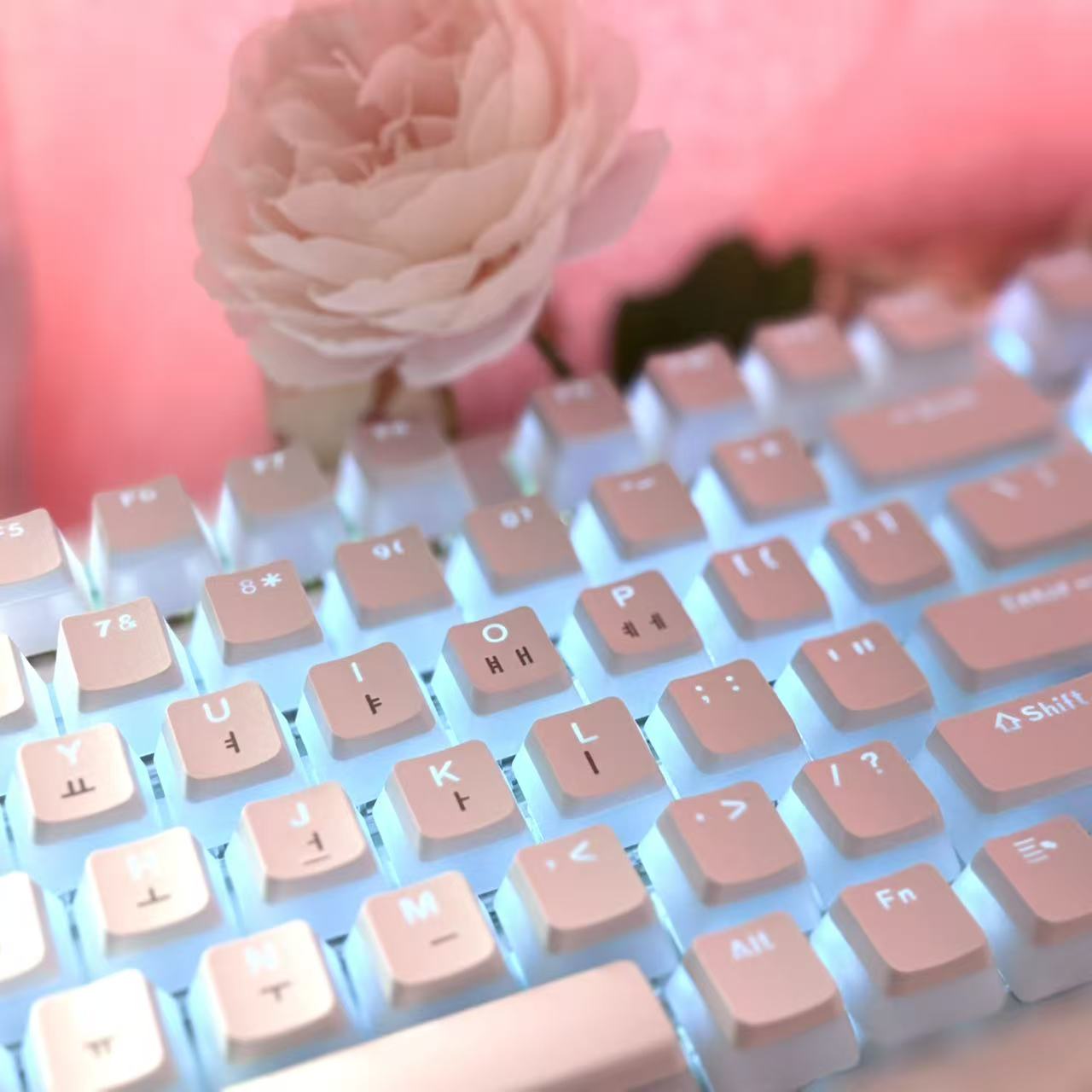Hangul Keycap Korean Layout Ke - огляд і ціна Gaming Set Accessories